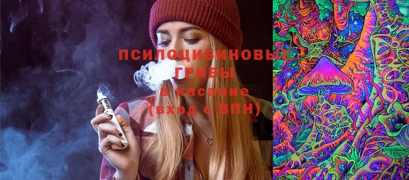 дарнет шоп  Полярный  Галлюциногенные грибы Psilocybe 